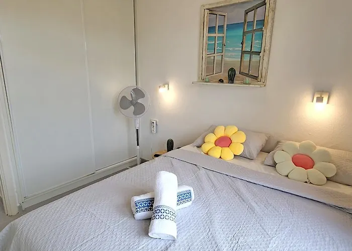 Vita كوستا كالما