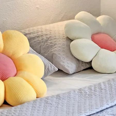 Vita קוסטה קלמה