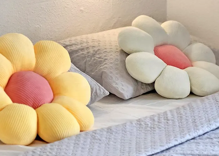 Vita קוסטה קלמה