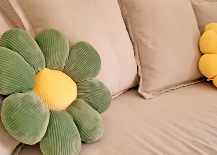 Vita * קוסטה קלמה